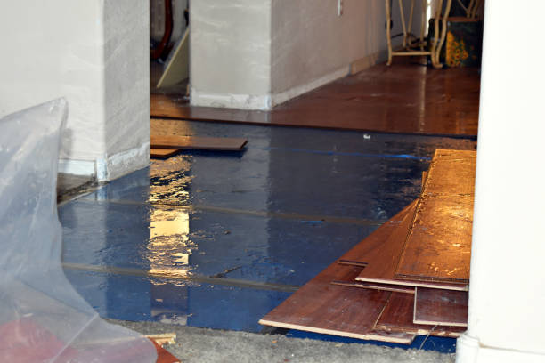 Professional Emergency Water Damage Restoration technician working in Tontogany, OH